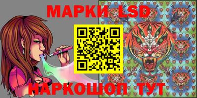 стаф Бугуруслан