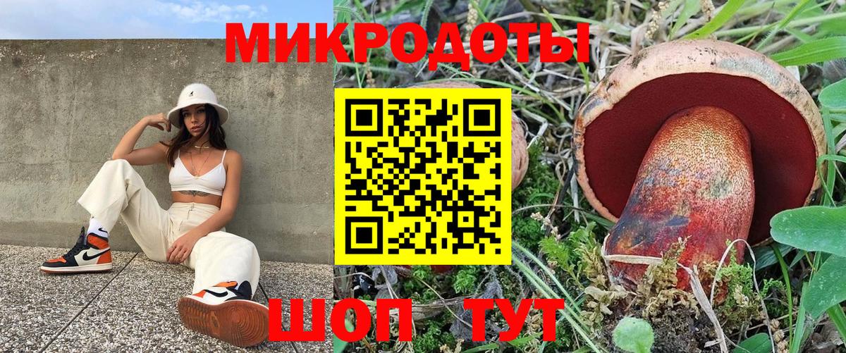 Куйбышев  Псилоцибиновые грибы Magic Shrooms  цены наркотик  Вход с VPN 